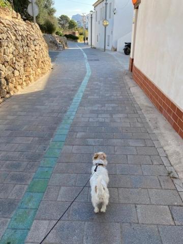 Altea Beachgate - Acceso Privado A La Playa Bagian luar foto
